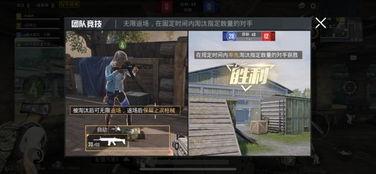 外国人和平精英爆料视频,外国人视角下的游戏体验与爆料  第1张