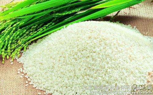 绿色大米爆料方法视频大全,视频大全解析