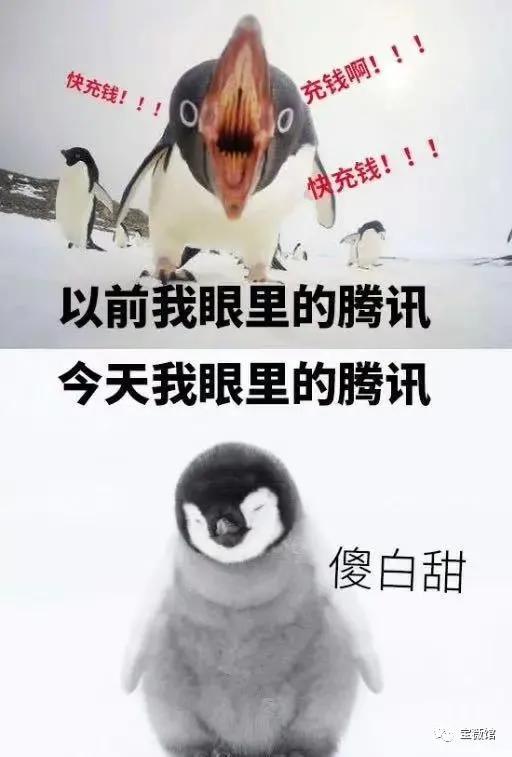 娱乐吃瓜酱自由男女平等,自由男女平等,共筑和谐娱乐生态 第1张 娱乐吃瓜酱自由男女平等,自由男女平等,共筑和谐娱乐生态 第1张